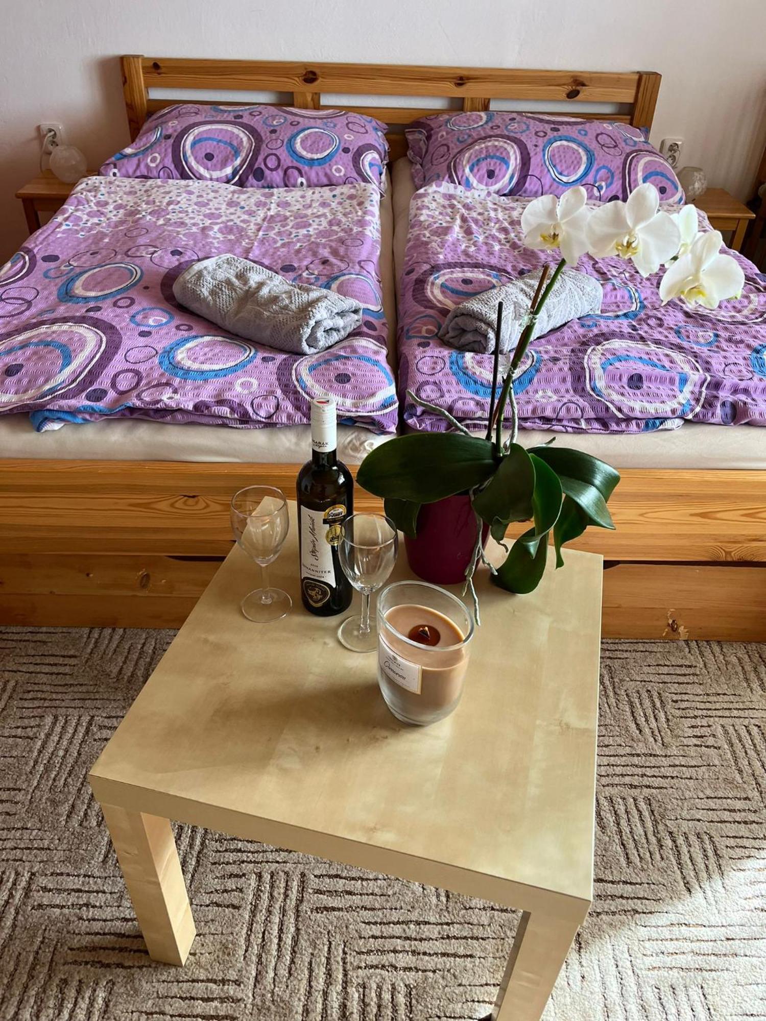 Apartman Za Kostelem Zvole  Rom bilde